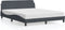 vidaXL - Bedframe - zonder - matras - 160x200 - cm - fluweel - donkergrijs