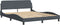 vidaXL - Bedframe - zonder - matras - 160x200 - cm - fluweel - donkergrijs