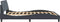 vidaXL - Bedframe - zonder - matras - 160x200 - cm - fluweel - donkergrijs