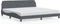 vidaXL - Bedframe - zonder - matras - 200x200 - cm - fluweel - donkergrijs