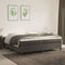 vidaXL - Bedframe - zonder - matras - 200x200 - cm - fluweel - donkergrijs
