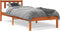 vidaXL - Bedframe - zonder - matras - massief - grenenhout - wasbruin - 75x190 - cm