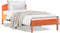 vidaXL - Bedframe - zonder - matras - massief - grenenhout - wasbruin - 90x200 - cm