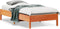 vidaXL - Bedframe - zonder - matras - massief - grenenhout - wasbruin - 90x190 - cm