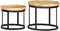vidaXL - Bijzettafel - rond - 2 - st - massief - mangohout - en - staal