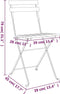 vidaXL - Bistrostoelen - 2 - st - inklapbaar - massief - acaciahout - en - staal