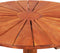 vidaXL - Bistrotafel - 70x70 - cm - massief - acaciahout