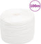 vidaXL - Boottouw - 6 - mm - 100 - m - polypropyleen - volwit