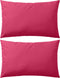 vidaXL - Buitenkussens - 45x45 - cm - roze - 4 - st