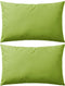 vidaXL - Buitenkussens - 60x40 - cm - appeltjesgroen - 2 - st