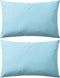 vidaXL - Buitenkussens - 60x40 - cm - lichtblauw - 2 - st
