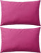 vidaXL - Buitenkussens - 60x40 - cm - roze - 2 - st