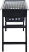 vidaXL Campingbarbecue draagbaar 60x22.5x33 cm roestvrij staal