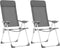 vidaXL - Campingstoelen - 2 - st - inklapbaar - aluminium - grijs
