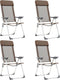 vidaXL - Campingstoelen - 4 - st - inklapbaar - aluminium - bruin