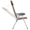 vidaXL - Campingstoelen - 4 - st - inklapbaar - aluminium - bruin