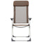 vidaXL - Campingstoelen - 4 - st - inklapbaar - aluminium - bruin
