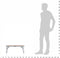 vidaXL - Campingtafel - inklapbaar - 60x40 - cm - aluminium - bruin
