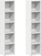 vidaXL - Cd-kasten - 2 - st - 21x16x93,5 - bewerkt - hout - wit