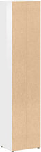 vidaXL - Cd-kasten - 2 - st - 21x16x93,5 - spaanplaat - hoogglans - wit
