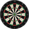 vidaXL - Dartbord - professioneel - met - 6 - darts - en - surround - sisal