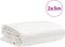 vidaXL - Dekzeil - 600 - g/m² - 2x3 - m - wit