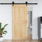 vidaXL - Deur - NARVIK - 100x210 - cm - massief - grenenhout