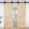 vidaXL - Deur - NARVIK - 80x210 - cm - massief - grenenhout