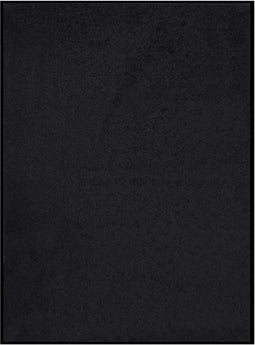 vidaXL - Deurmat - 60x80 - cm - zwart