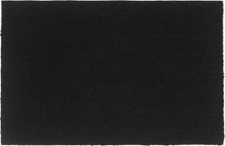 vidaXL - Deurmat - 65x100 - cm - getufte - kokosvezel - zwart