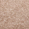 vidaXL - Deurmat - 80x120 - cm - beige