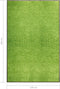 vidaXL - Deurmat - wasbaar - 120x180 - cm - groen