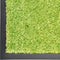 vidaXL - Deurmat - wasbaar - 120x180 - cm - groen