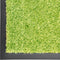 vidaXL - Deurmat - wasbaar - 90x150 - cm - groen