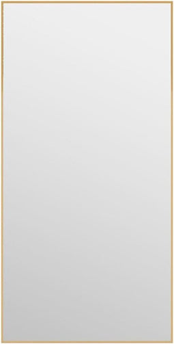vidaXL - Deurspiegel - 40x80 - cm - glas - en - aluminium - goudkleurig