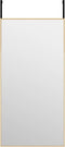 vidaXL - Deurspiegel - 40x80 - cm - glas - en - aluminium - goudkleurig