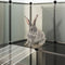 vidaXL - Dierenhok - klein - 143x107x93 - cm - polypropeen - en - staal - transparant