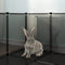 vidaXL - Dierenhok - klein - 144x74x46,5 - cm - polypropeen - en - staal - transparant