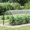 vidaXL - Doorzichtig - zeildoek - met - zeilringen - 2x10 - m - PVC