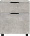 vidaXL - Dossierkast - verrijdbaar - 45x38x54 - cm - bewerkt - hout - betongrijs