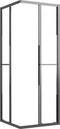 vidaXL - Douchecabine - 80x80x180 - cm - halfmat - ESG - zwart