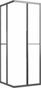 vidaXL - Douchecabine - 80x80x180 - cm - mat - ESG - zwart