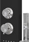 vidaXL - Douchepaneelsysteem - aluminium - zwart