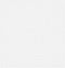 vidaXL - Draadhek - 100x85 - cm - 45x20x4 - mm - roestvrij - staal
