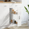 vidaXL - Draadmand - keuken - uittrekbaar - 2-laags - 47x15x54,5cm - zilverkleurig