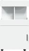 vidaXL - Drankkar - 50x41x89 - cm - bewerkt - hout - wit