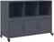vidaXL - Dressoir - 100,5x39x72 - cm - staal - antracietkleurig