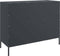 vidaXL - Dressoir - 100,5x39x79 - cm - staal - antracietkleurig