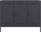 vidaXL - Dressoir - 100,5x39x79 - cm - staal - antracietkleurig
