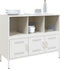 vidaXL - Dressoir - 100,5x39x79 - cm - staal - wit